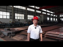 Caco3 Οριζόντια 300 τόνους ανά ημέρα